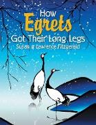 How Egrets Got Their Long Legs