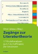 Zugänge zur Literaturtheorie. 17 Modellanalysen zu E.T.A. Hoffmanns »Der Sandmann«