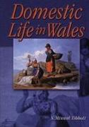 Domestic Life in Wales