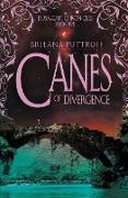 Canes of Divergence