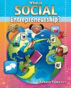 What Is Social Entrepreneurship?