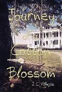 Journey of a Cotton Blossom