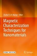 Magnetic Characterization Techniques for Nanomaterials
