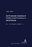 An Economic Analysis of Public Good Provision in Rural Russia