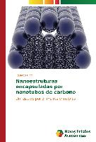 Nanoestruturas encapsuladas por nanotubos de carbono