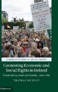 Contesting Economic and Social Rights in Ireland