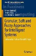 Granular, Soft and Fuzzy Approaches for Intelligent Systems