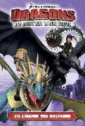 Dragons - die Reiter von Berk 05