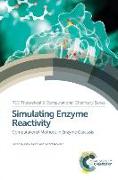 Simulating Enzyme Reactivity