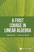 A First Course in Linear Algebra