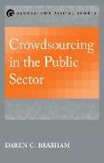 Crowdsourcing in the Public Sector