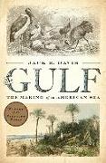 The Gulf: The Making of an American Sea