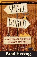 Small World: A Microcosmic Journey Through America