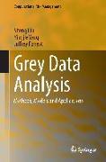 Grey Data Analysis