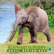 Elephant Nursery Small Beginnings 2017