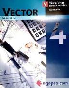 Vector, matemáticas, 4 ESO, opción B