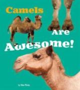 Camels are Awesome!