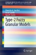 Type-2 Fuzzy Granular Models