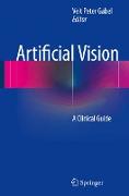 Artificial Vision