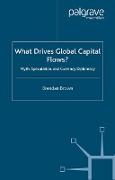 What Drives Global Capital Flows?