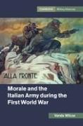 Morale and the Italian Army during the First World War