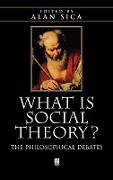 What is Social Theory?