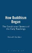 How Buddhism Began