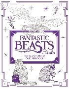 Fantastic Beasts and Where to Find Them: Magical Creatures Coloring Book