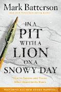In a Pit with a Lion on a Snowy Day