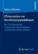 Effizienzanalyse von Dienstleistungsproduktionen