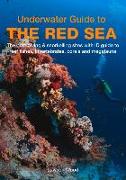 Underwater Guide to the Red Sea