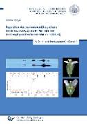 Regulation der Jasmonsäurebiosynthese durch posttranslationale Modifikation der Oxophytodiensäurereduktase 3 (OPR3) (Band 4)