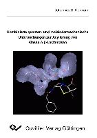 Kombinierte quanten- und molekularmechanische Untersuchungen zur Acylierung von Klasse A ß-Lactamasen
