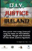 D.I.Y. JUSTICE IN IRELAND - Prosecuting by Common Informer