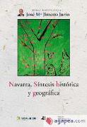 Navarra : síntesis histórica y geográfica
