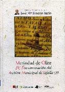 Merindad de Olite IV : documentación del Archivo Municipal de Tafalla (3) : libro de actos y ordenanzas de la villa de Tafalla. 2 parte (1501-1509)
