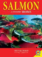 Salmon: A Journey Home