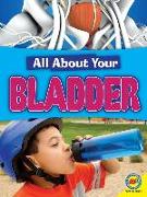 Bladder