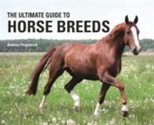 The Ultimate Guide to Horse Breeds