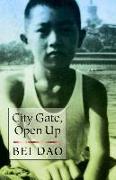 Open Up, City Gate