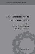 The Determinants of Entrepreneurship