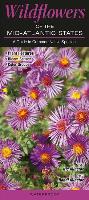 Wildflowers of the Mid-Atlantic States: A Guide to Common Native Species