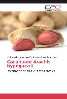 Cacahuate Arachis hypogaea L