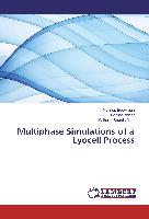 Multiphase Simulations of a Lyocell Process