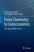 From Chemistry to Consciousness