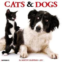 Cats & Dogs 2017 Wall Calendar