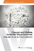 Chancen und Risiken lernender Organisationen