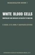 White Blood Cells: Morphology and Rheology as Related to Function