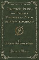 Practical Plans for Primary Teachers in Public or Private Schools (Classic Reprint)