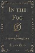 In the Fog (Classic Reprint)